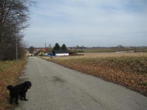 Än är här öppna fält