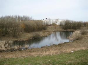 var helst en vattenpöl så två sothöns