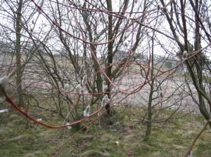 skärpan blåste bort hela tiden