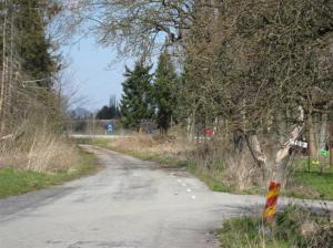 Lös rottweiler runt hörnet