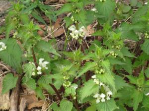 tråkig bok tråkig bok