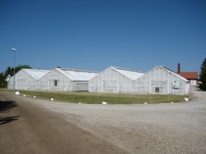 Kvarnby Handelsträdgård Kvarnby Handelsträdgård