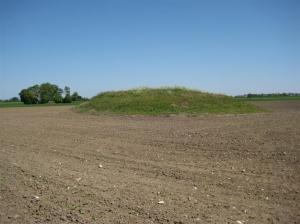 Bronsåldershög vid Nummertolvsvägen. img_0340-large