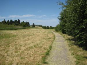 så ska en stig se ut