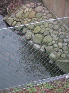 den sanna sushibaren img_0869-large