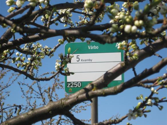 Linje 5 till Kvarnby