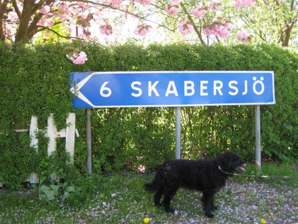 Skabersjö