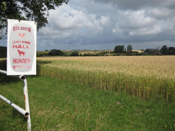 hundpensionatet i Fårabäck