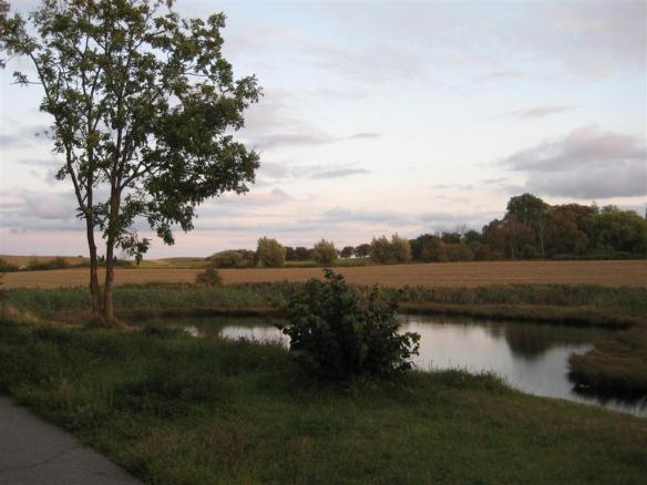 cykelstigen mot bokskogen 2