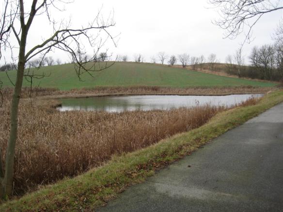 Olle Baertling i naturen