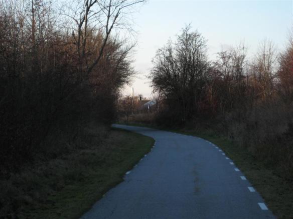 Turning Torso från cykelstigen mot bokskogen