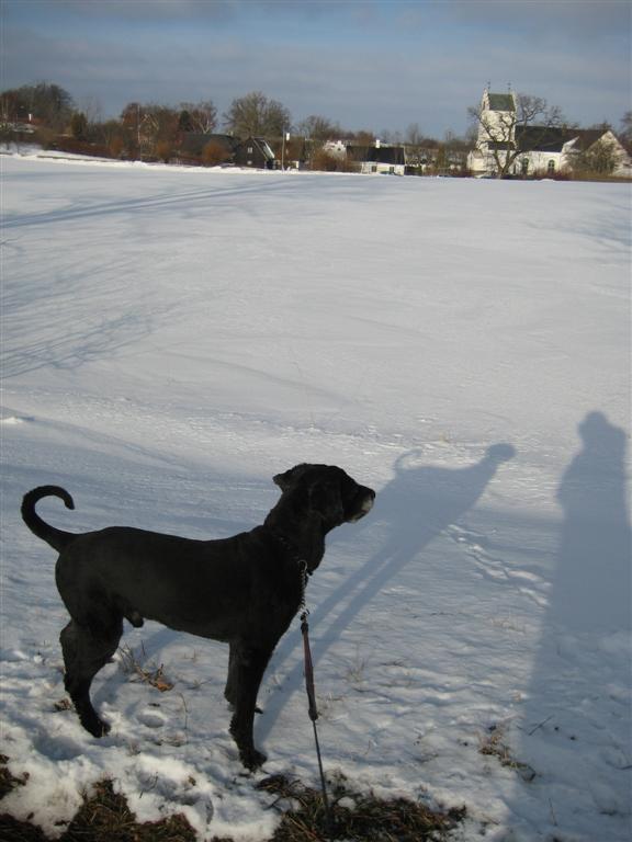 södra sallerups kyrka